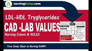 Cardiac CAD Cardiovascular Labs CRP Nursing KAMP  NVC21