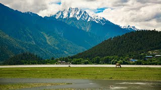 A little paradise in Bome, Linzhi/Nyingchi, Tibet ,China