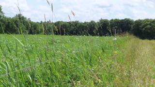 Pasture Soil Health Project, Russ Wilson - Year 1