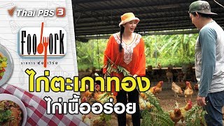 ไก่ตะเภาทอง : Foodwork [CC] (22 ก.ย. 62)