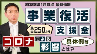 【事業復活支援金～申請の前提『コロナによる影響』の具体例】需要の減少 / 供給の制約 / 給付対象とならないケース等 ≪2022年1月時点≫