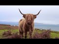 Relaxing Nature Video with Peaceful Outlander Celtic Music  Anxiety and Stress Relief