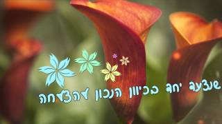 איחולי חג שמח ופורה מכל צוות משרד רן שטוק, ייעוץ ניהולי ועסקי