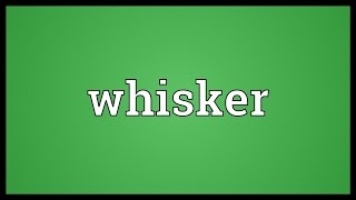 Whisker Meaning