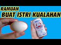 Begini Ternyata Khasiat Minum Susu Beruang Dicampur Telur Ayam Kampung