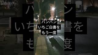 バンバン　いちご白書をもう一度(cover)　　　　　この曲ユーミンがつくったんですよ!知ってるよね!