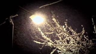Downed Power Lines: Stay Safe