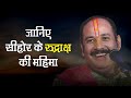 जानिए सीहोर के रुद्राक्ष की महिमा - - Pandit #Pradeep Ji Mishra Sehore Wale