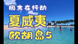 夏威夷欧胡岛之旅 5 |  Hawaii | Oahu | Waikiki Beach | 周末在行动 | Travelonweekend