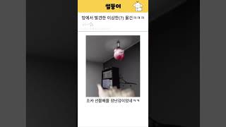 방에서 발견한 이상한 물건ㅋㅋㅋ