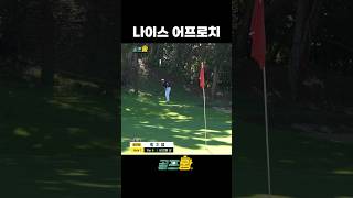 나이스 어프로치🏌️ #shorts