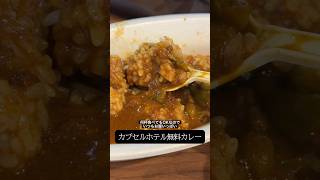 安心お宿で無料の朝カレーを満喫するおっさん