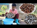 Seyhak cook blood cockles and invites Mommy to taste - Unique style of cooking - Chef Seyhak