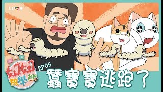 【動畫】EP5蠶寶寶逃跑了 妞妞放學趣校園篇[NyoNyoTV妞妞TV玩具]