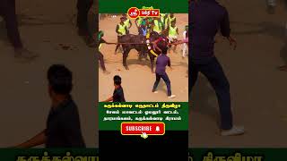 சேலம் கருக்கல்வாடி எருதாட்டம் 2025 || #karukkalvadi #jallikattukalai  #salem #salemtemple #trending