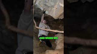 I Caught The Worlds BIGGEST Spider!