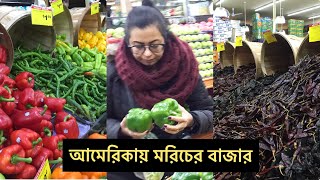 আমেরিকায় মরিচের বাজার দেখুন - america chile hatt bazzer