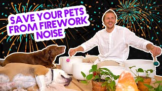 Dog Comforting Music for Fireworks | 4th of July Animal Anxiety Sound Bath | Thundershirt of Music