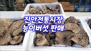 11/12 진안산골 전통시장 능이버섯 가격시세/마이산 농수산물 최상급 능이