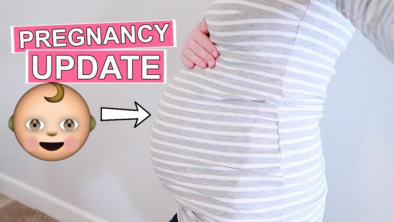 Pregnancy Updates Youtube