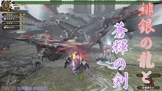 [MHF-ZZ]ゆっくり達と楽しくMHF実況！#39[辿異種ハルドメルグ編]