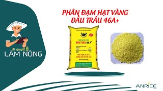 PHÂN ĐẠM HẠT VÀNG ĐẦU TRÂU 46A+