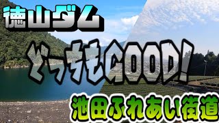 【ロードバイク】徳山ダムへ養老鉄道のサイクルトレインを使って行って来たよ。【ヒルクライム】