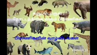 Grade 1 - சுற்றாடல் primary  lessons, learn and enjoy!!