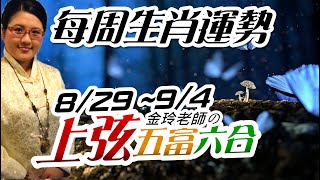 上弦五富。2022生肖運勢週報｜8/29-9/4｜金玲老師（有字幕）