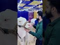 maweshi mandi karachi eid ul adha qurbani2022