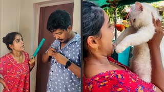 അമ്മമാർ ശെരിക്കും ഇങ്ങനെ അല്ലെ ❤️ #short #shorts #catlover #shortvideo #mother