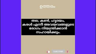 മനുഷ്യ ശരീരത്തിലെ പ്രശ്നങ്ങൾക്ക് പരിഹാരം # ആരോഗ്യം മഹാബലം # അടിസ്ഥാന വിവരങ്ങൾ # YTVIDEO #