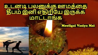 எதிரி எட்டி ஓட தீபம் | @mooligaivasiyamai | #mooligai  | #எதிரிபூஜை | #கருஊமத்தை