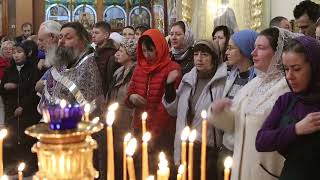 18 марта -  обретение мощей Святителя Луки, архиепископа Крымского. Божественная литургия.