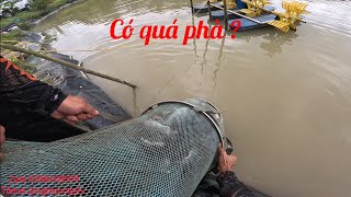 Fishing | Câu Đài | Tập 263 | Câu Hồ Giá 6 Triệu 5 Tiếng | Nghiện Câu TV