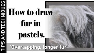 HOW TO DRAW FUR WITH PASTELS | DRAWING OVERLAPPING, LONGER FUR