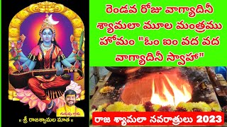 RajaSyamala Navaratrulu | Shyamala Homam  వాగ్వాదిని శ్యామలా హోమం | Rajahmundry KalaBhairava Temple