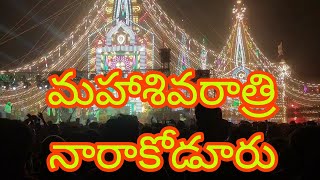 మహాశివరాత్రి నారాకోడూరు #narakoduru prabhalu #sivarathri #@venulife9 #prabhalu