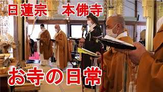 本佛寺の日々２月１５日～２１日（日蓮宗　鎮西身延山 本佛寺）