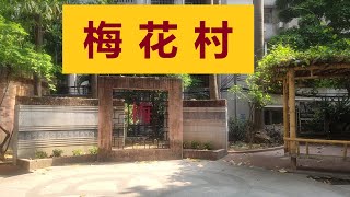 走進廣州的大街小巷 - #梅花村 （Hugo\u0026Key粤语中字）