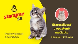 Starajme sa | Mačky: Starostlivosť o opustené mačiatko