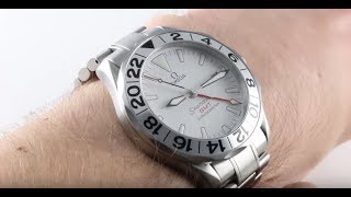 Omega Seamaster GMT 300M Professional 2538.20.00 Luxury Watch Review