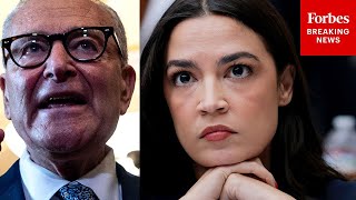 Schumer Asked Point Blank If Fear Of Primary Challenge Is Behind Government Shutdown