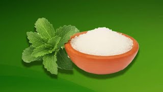 क्या चीनी की जगह स्टीविया का सेवन करना सेफ होता है? Should We Consume Stevia Daily