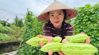 Về nhà Quyên hái mớ KHỔ QUA LỚN NHỎ, XANH ĐỎ ĐEM HẦM NGUYÊN NỒI, cả nhà ăn rồi lặt lá mai