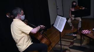 Hindemith String Quartet Op. 22 Movement IV