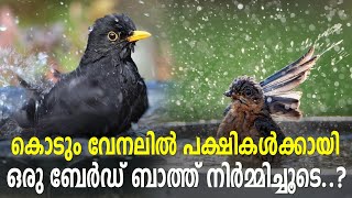 കൊടും വേനലിൽ പക്ഷികൾക്കായി ഒരു ബേർഡ്ബാത്ത് നിർമ്മിച്ചു കൂടെ ?  | Bird | Hot |