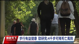 歐洲最新研究 日行4千步降低死亡風險｜20230813 全球現場漫遊天下