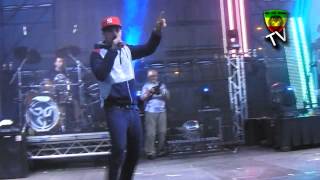 Brains - True That (feat. KRSa) (Live@Budapest Park 2014.06.18)