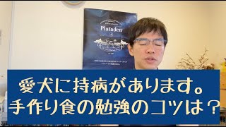 わんこの質問箱　愛犬に持病、手作り食に勉強を活かすコツは？